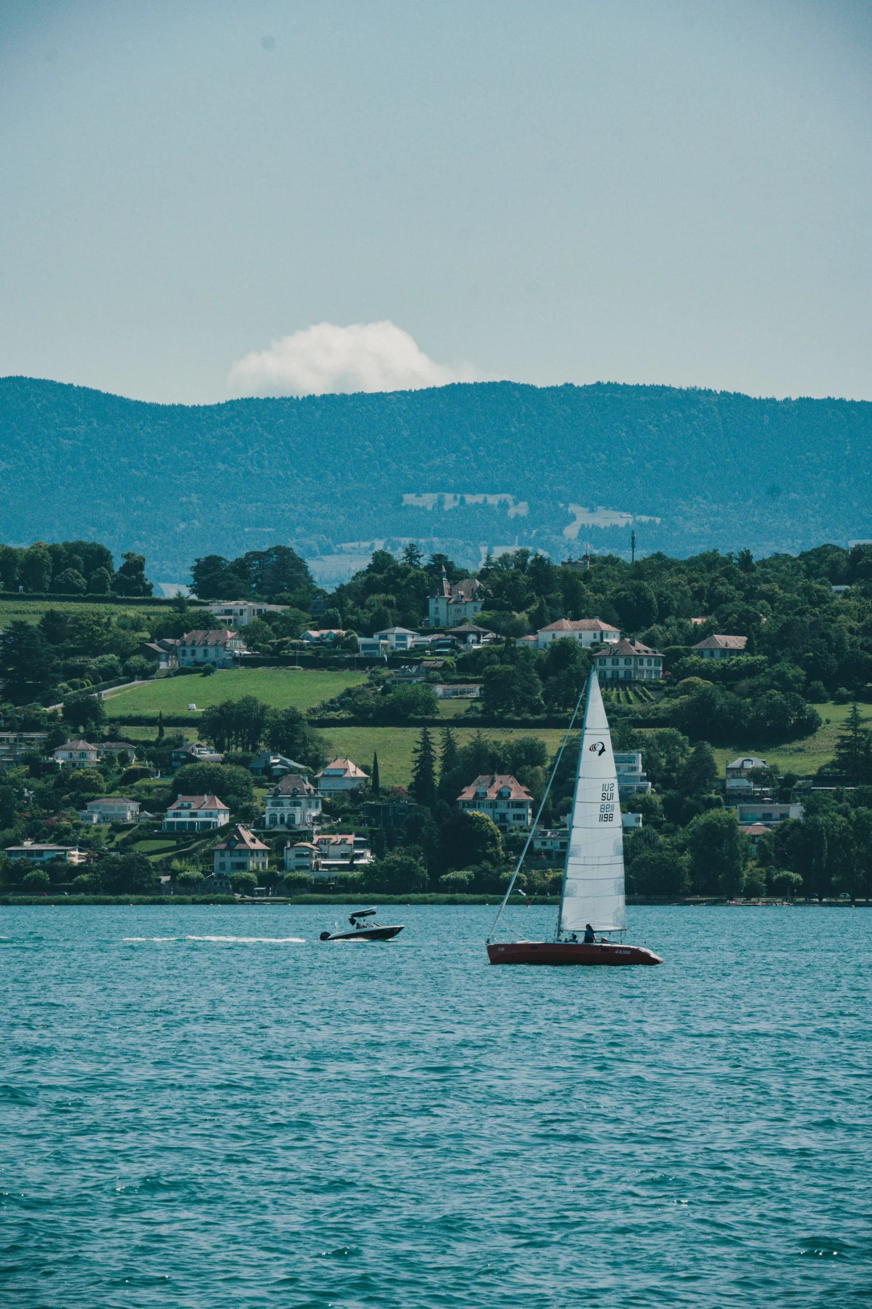 Rive genevoise du Léman