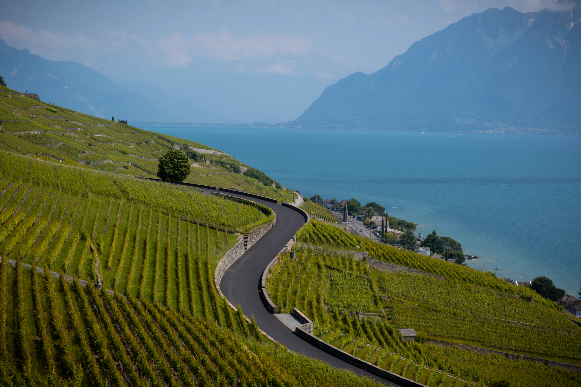 Winding road through the Lavaux vineyards above Lake Geneva